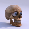 Modern Skull Skull 3d model