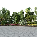 Arbor Trees Landscape With Palm Trees Various Plants And Paved Ground
