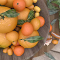 Fresh Citrus Fruits in Wooden Bowl with Oranges Tangerines Scattered Leaves and Peeled Segments