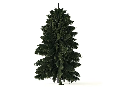 Tall Green Arbor with Lush Dense Foliage and Natural Growth Form 3d model