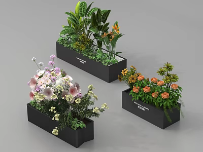 Bonsai Potted Plants In Black Rectangular Pots With Various Flowers And Green Leaves 3d model