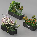 Bonsai Potted Plants In Black Rectangular Pots With Various Flowers And Green Leaves 3d model