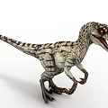 Standing Velociraptor Dinosaur With Striped Skin Long Tail Open Mouth And Sharp Claws