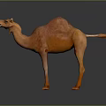 Realistic 3D Camel Model Standing With Open Mouth And Brown Orange Fur On Dark Surface