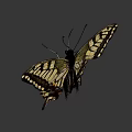 Vibrant Yellow And Black Butterfly With Detailed Wing Patterns And Antennae