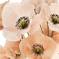 Decorative Ornament Set With Pink Poppy Flowers In Transparent Glass Vase