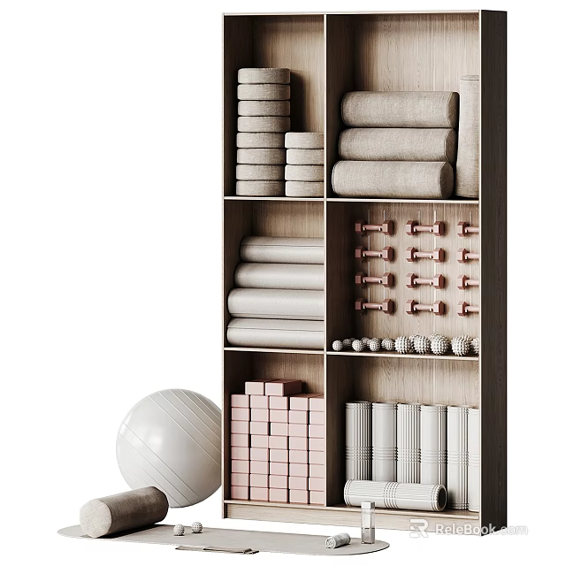 Organized Sports Equipment Storage Cabinet With Dumbbells Exercise Ball Yoga Blocks Mats And Towels 3d model 
