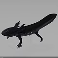 Axolotl Aquatic Creature With External Gills Sleek Body And Flat Tail