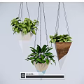 Lush Green Hanging Plants in Conical Wooden White Blue Planters for Interior Decor