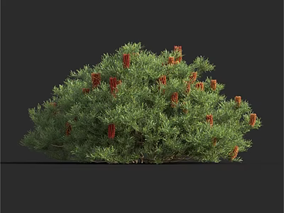 Lush Green Bush With Vibrant Red Flowers In Natural Setting 3d model
