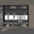 Modern Wardrobe Interior with Glass Doors Hanging Clothes Folded Items Bag and Shoes