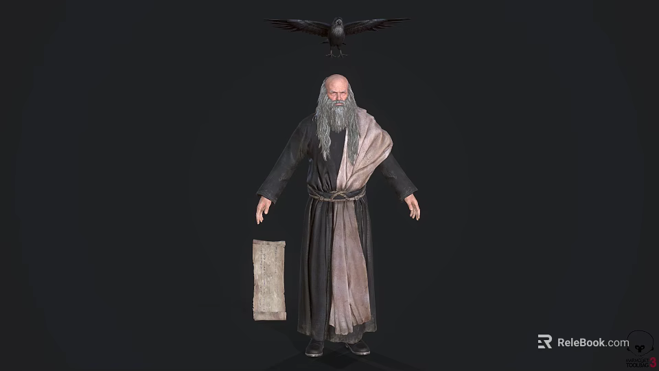 Game Movie Character Wise Long Bearded Man in Robe Holding Scroll with Crow on Head 3d model 