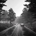 Villa Forest Road Rainy Day Landscape 3d model