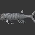 Two Fierce Looking Aquatic Animals With Black And Silver Streamlined Bodies And Sharp Teeth