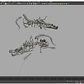 Two Reptilian Skeleton Models Featuring Crocodile And Dinosaur Bone Structures