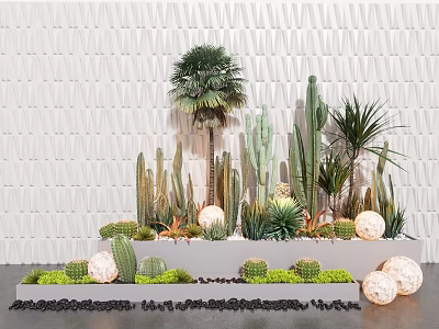 Modern Bonsai Potted Plants Display With Cacti Succulents Palm Tree And White Textured Wall 3d model