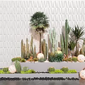 Modern Bonsai Potted Plants Display With Cacti Succulents Palm Tree And White Textured Wall