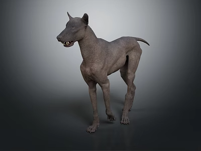 Hairless Mexican Dog Standing Alert With Muscular Body And Ears Up 3d model