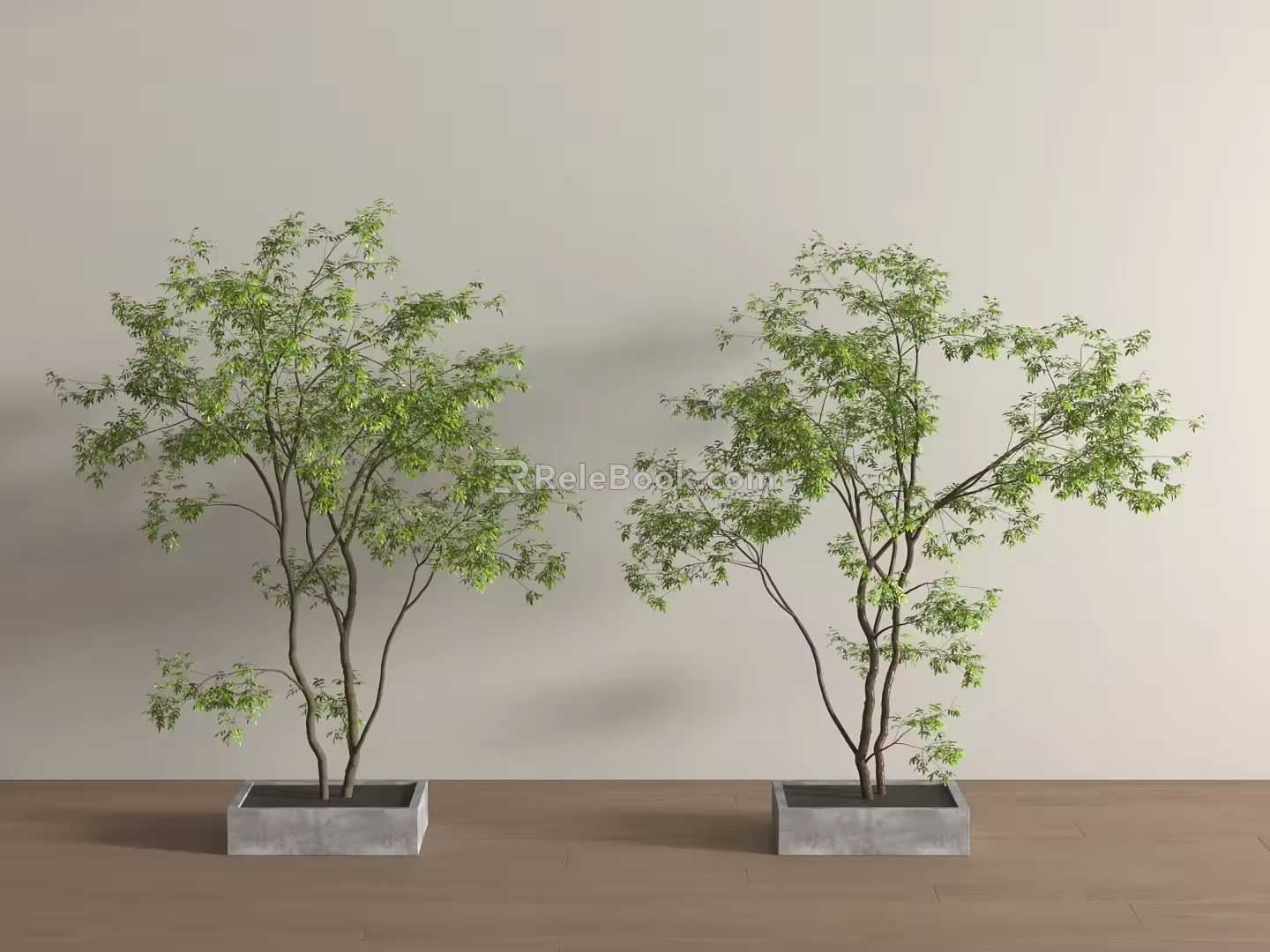 Modern Landscape Tree Modern Landscape Tree 3d model