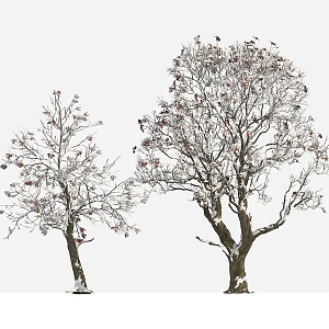 tree big tree plant snow tree winter tree 3d model