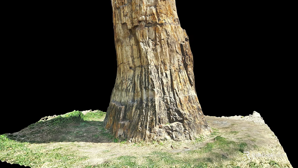 Petrified Wood Trunk With Detailed Texture And Natural Stone Appearance In Grass And Earth 3d model 