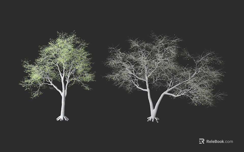 Two Trees With Green Leaves And Bare Branches White Trunks Exposed Roots On Black Background 3d model 