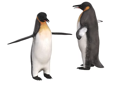 Aquatic Animals Penguins with Black and White Feathers and Orange Beaks Standing Together 3d model