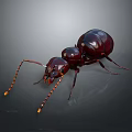 3D Rendered Dark Brown Ant With Long Antennae On Gray Background