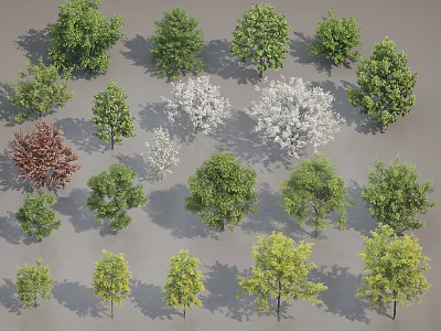 Various Trees With Green Red White And Yellow Foliage For Landscaping Design 3d model
