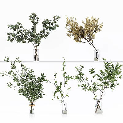 Assorted Vase Flowers With Green Eucalyptus Golden Branches And Various Green Foliage In Glass Vases 3d model