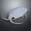 White Creature Model With Red Eyes Long Antennae And Segmented Body On Dark Background