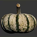 Fresh Ripe Small Round Pumpkin With Green And White Stripes On Dark Background
