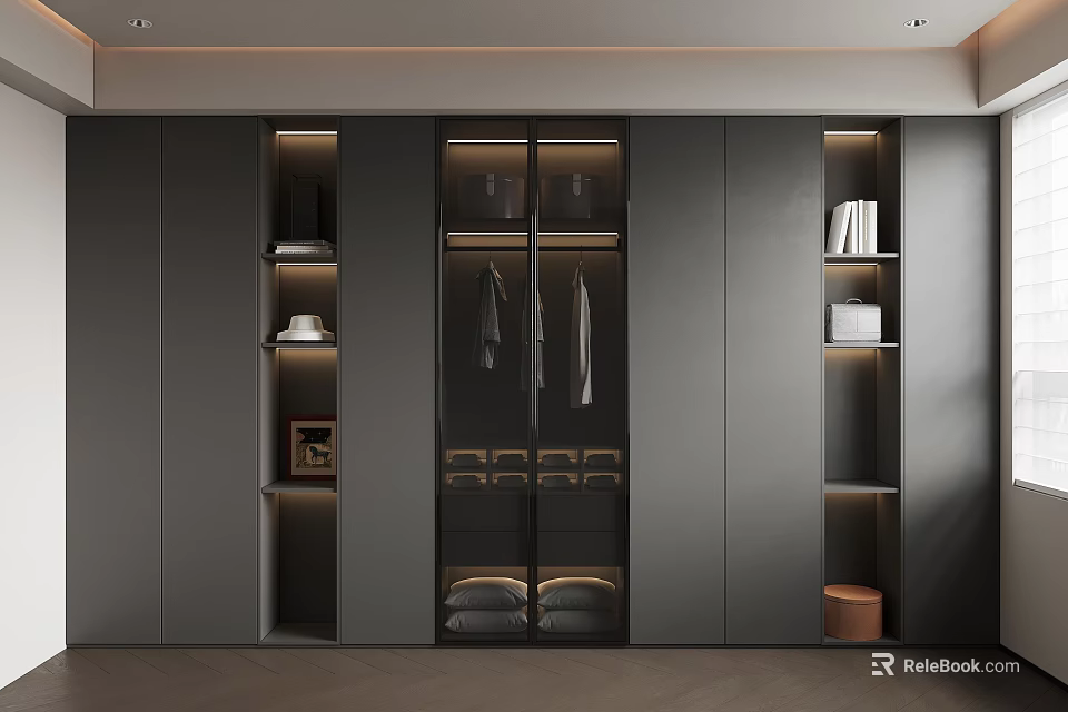 Modern Walk in Closet Design With Dark Cabinets Glass Doors Hanging Clothes and Open Shelves 3d model 