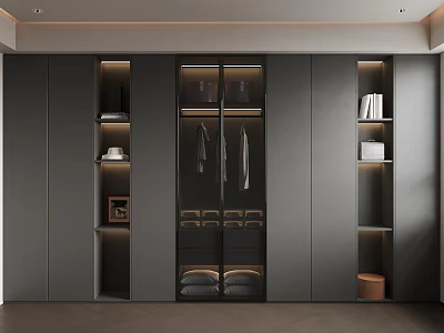 Modern Walk in Closet Design With Dark Cabinets Glass Doors Hanging Clothes and Open Shelves 3d model