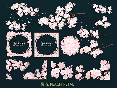 Peach Blossom Cherry Blossom Pink Flower Colorful Petals Stamen Flower Hand-painted Illustration Decorative Pattern 3d model