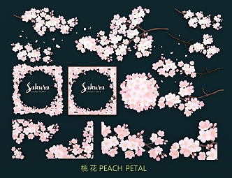 Peach Blossom Cherry Blossom Pink Flower Colorful Petals Stamen Flower Hand-painted Illustration Decorative Pattern 3d model