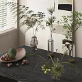 Indoor Aquatic Plants In Glass Vases On Window Side Table Natural Decor Style
