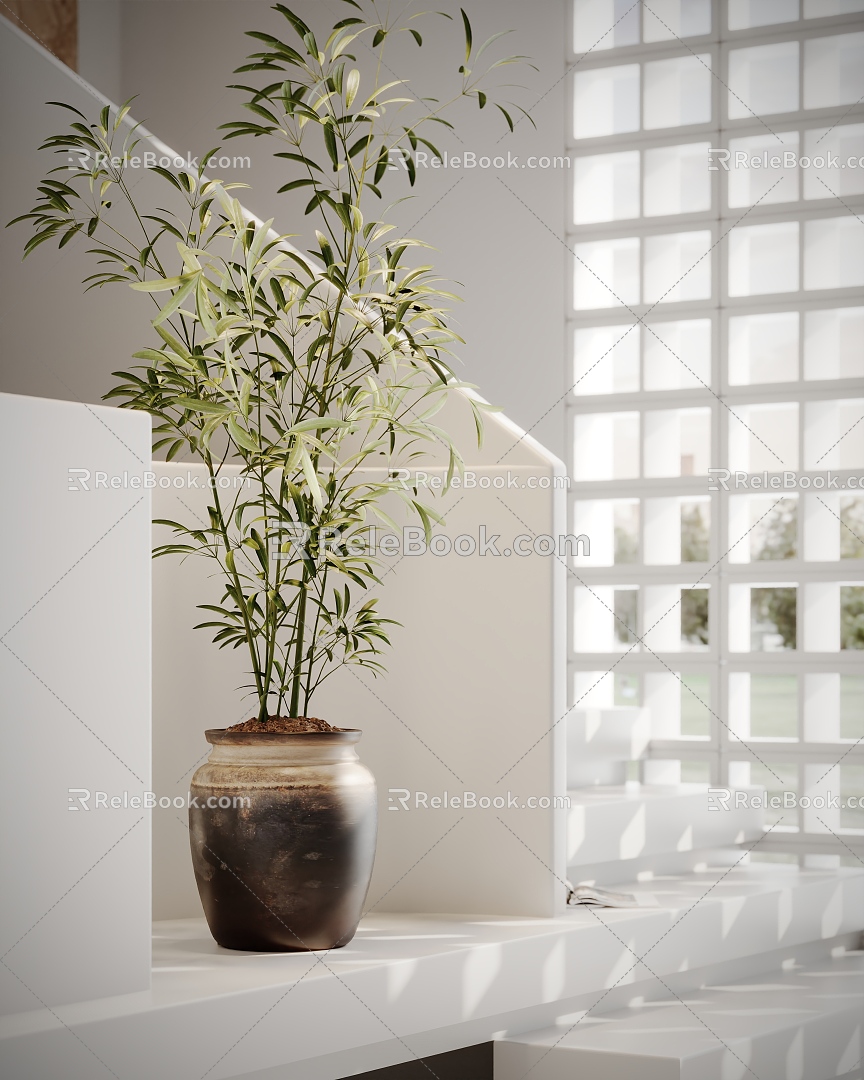 potted plant green plant 3d model