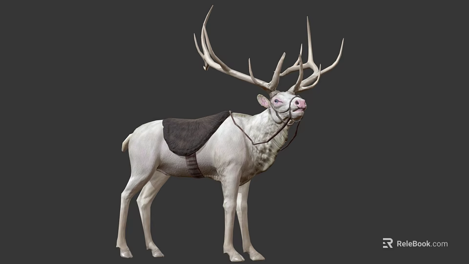 White Scaled Reptile Lizard With Saddle Like Gear On Gray Backdrop 3d model 