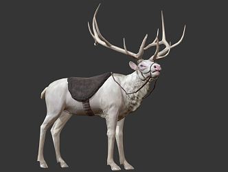 Modern Elk 3d model