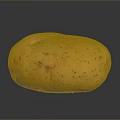 Fresh Single Yellow Potato with Brown Spots on Black Background 3d model