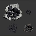 Black Crystal Decorations With Wooden And Stone Bases For Home Decor