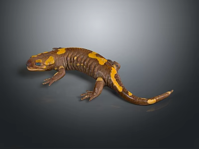 Realistic Brown Yellow Spotted Salamander Detailed Appearance on Dark Background 3d model