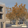 Arbor Trees with Yellow Leaves Standing Beside Modern Buildings Under Blue Sky