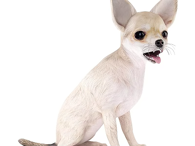 Brown Desert Reptile Lizard Sitting On Sandy Ground With Detailed Scales 3d model