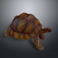 Reptile Tortoise With Textured Brown And Yellow Shell In Crawling Posture