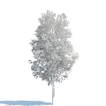 The Modern Tree 3d model