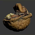 Opened Walnut with Brown Shell and Visible Yellow Kernel on Dark Background