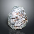 Oyster Shell With Layered Texture And Natural Color Patterns On Gray Background 3d model