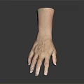 Realistic Human Hand Model Featuring Detailed Skin Texture and Lifelike Fingers
